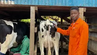 Mugambo wa Murimi (Farm with paul) #mugambowamurimi