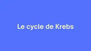 Tout savoir sur le cycle de Krebs