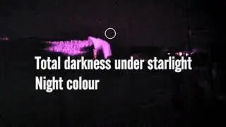 SiOnyx Aurora lowlight action camera test