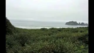 Tour the Twilight Saga's La Push First Beach Preview