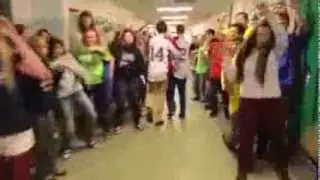 ACS Roar Lip Dub 2013