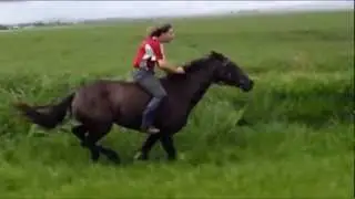 500m Bareback flatout gallop on Horse!!