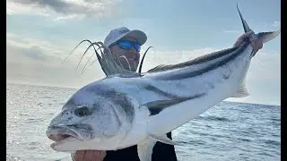 Marlin, Tuna & Rooster's In San José del Cabo - June 2024