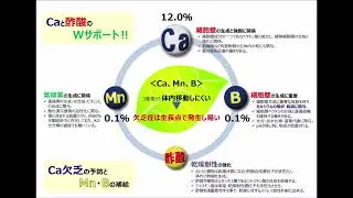 カルモア カルシウムの葉面散布剤