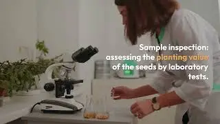 What is the Process followed in Seed certification? 🚜 #agriculture #study 🚜