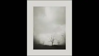 Beneath a Mourning Sky