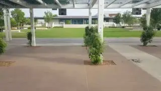 Guthrie Green: The performers perspective...