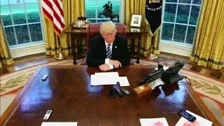 Trump pardons Michael Flynn