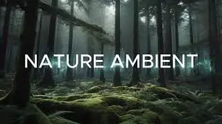 NATURE AMBIENT CALM FOR MILD & BODY