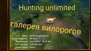 Hunting Unlimited 2010. Галерея вилорогов.