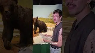 Piirustusilta luonnontieteelisess&auml; museossa