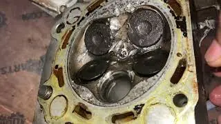 Yamaha Raptor Quick Tear Down Inspection Needs Top End