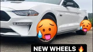 NEW PROJECT 6GR WHEELS FOR THE MUSTANG