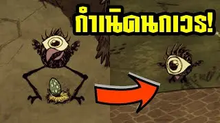 วิธีฟักไข่/เลี้ยงนกทอลเบิร์ด | How to Hatch a Tallbird Egg [Don't Starve Together]