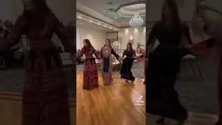 Palestinian Dabke ❤️🇵🇸
