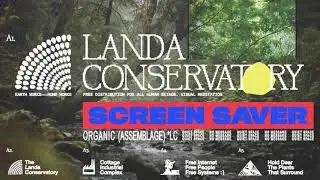 Landa Conservatory | Hushed Forest Stream (Screen Saver)