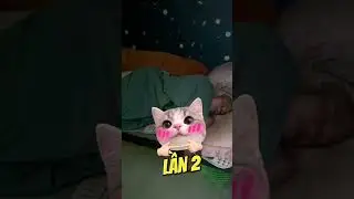 Dậy đi em đừng ngủ d&acirc;y dưa #quyenmiu #cat #shortsvideo #meo