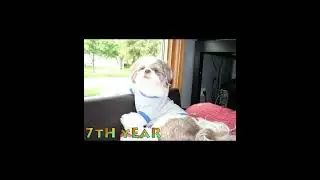 2024 rOcKo 14tTh BdAy ...