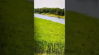 বাতাসটা এসে কি বলে গেল,,,BATASTA ASE KI BOLE GELO,,,,KUMAR SANU & ANURADHA PADWAL.