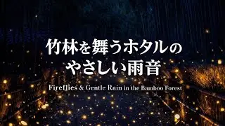 竹林を舞うホタルのやさしい雨音 | Fireflies & Gentle Rain in the Bamboo Forest