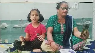 Meru Kutumb Pariwar || Garhwali song || Narendra Singh Negi || Maa Dhari Devi  || Jai Dhari Devi Maa