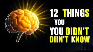 What Happens In Your BRAIN While You Sleep?