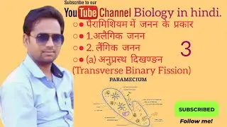 Reproduction in Paramecium |पैरामिशियम में जनन | Asexual Reproduction | अलैगिक जनन|@Biologyinhindi.