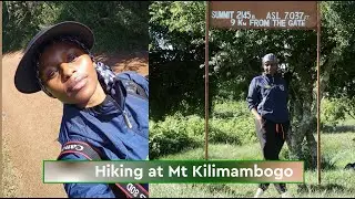 Hiking at Mt. Kilimambogo in Kenya in preparation for Mt. Kenya// Hiking for beginners