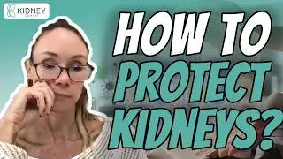 Tips to Preserve Kidney Function | A Pharmacist Perspective