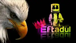 Bird 🐦 name art video! name art status video! whatsapp status video