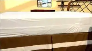 Protect-A-Bed AllerZip Terry Mattress Encasement