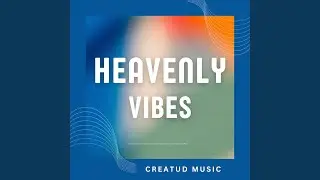 HEAVENLY VIBES