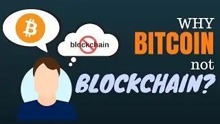 Why Bitcoin but not Blockchain?