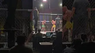 CAGE SIDE ACTION FROM UFC MAIN EVENT!🥊🥋  #ufc #mma #shorts #youtubeshorts #short #viral #shortvideo