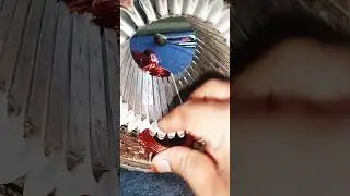 @electrolab233, motor rewinding tutorial, 3 kw motor, 900rpm, 36 solot, 6 pull