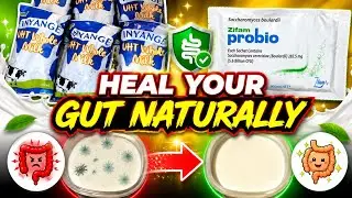 Transform Your Digestion With Yogurt-Probiotic Super food Explained.#yogurtforguthealth#greekyogurt 