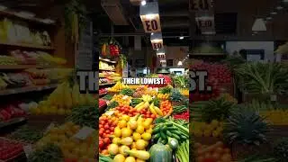 Unlocking Savings with Efficient Grocery Sales Strategies