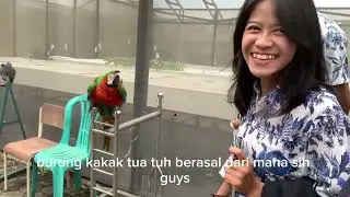 Wisata Hidden Game Sussy Garden | Caffe, Hewan & View Keren ✨