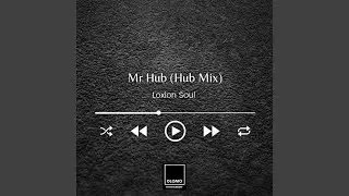 Mr Hub (Hub Mix)