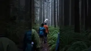 Unicorn Spotted in a Misty Forest &mdash; Real or Fake?🦄 #LostEvidence #mystery #discover #hiddentruths