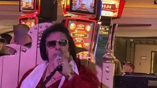 TIE A YELLOW RIBBON ROUND THE OLD OAK TREE   -  BIG ELVIS