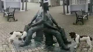 Dog and Man Amazing Moments #short