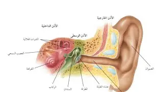 مراجعة علوم للصف الثاني المتوسط /الفصل الدراسي الثاني جزء ١