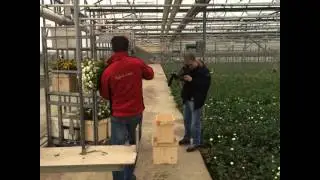 Floweracademy.TV 