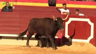 MAESTROS DE LA CALLE CASTELLON 030324