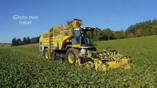 Colheita Mecanizada de Beterraba #machine #agriculture #future #technology