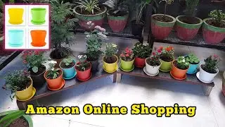 cheap rate plots in Amazon | Kraft Seeds Flower Planters with Bottom Plate