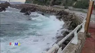 [tripLog 짤] 동해 헌화로  산책 짤