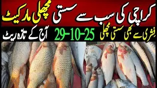Inside Karachi&rsquo;s Biggest Fish Market | Fresh Seafood Wholesale Rate! | Lobster | Crabs | Fishes