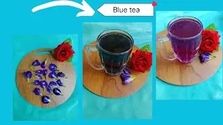 Blue Tea. |  How to make Blue Tea from shanka Pushpa flower which having lot of health benefits